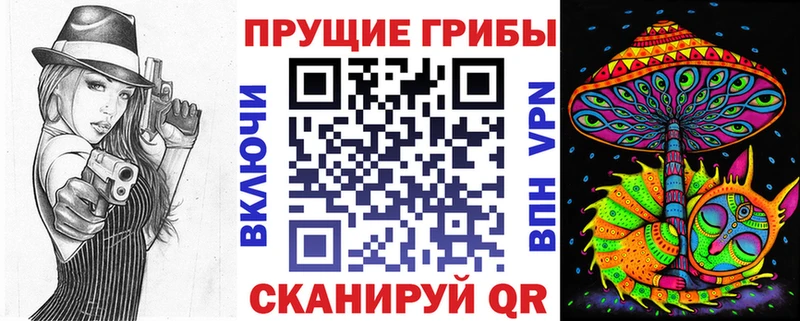 ссылка на мегу ТОР  продажа наркотиков  Тосно  Псилоцибиновые грибы ЛСД 